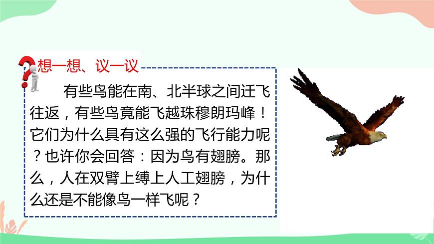 【核心素養(yǎng)】人教版初中生物八年級(jí)上冊(cè)5.1.6《鳥》課件第3頁
