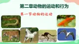 【核心素养】人教版初中生物八年级上册5.2.1《动物的运动》课件＋课时练习＋教案（含教学反思）