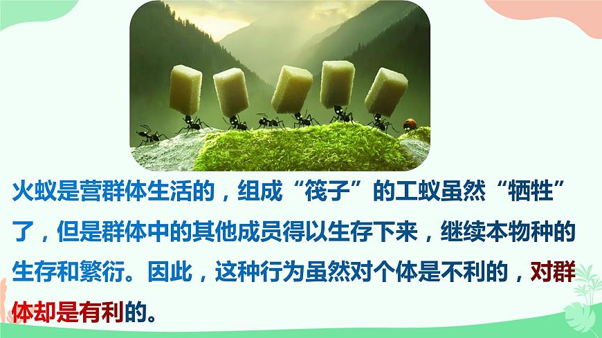 【核心素養(yǎng)】人教版初中生物八年級上冊5.2.3《社會行為》課件第5頁