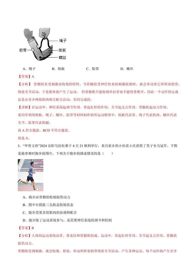 5.2.1 动物的运动(含答案) 2023-2004八年级生物上册同步讲义(人教版)02