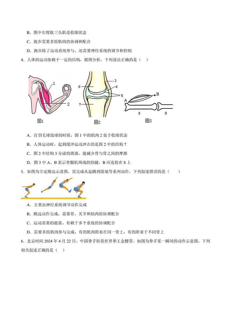 5.2.1 动物的运动(含答案) 2023-2004八年级生物上册同步讲义(人教版)02