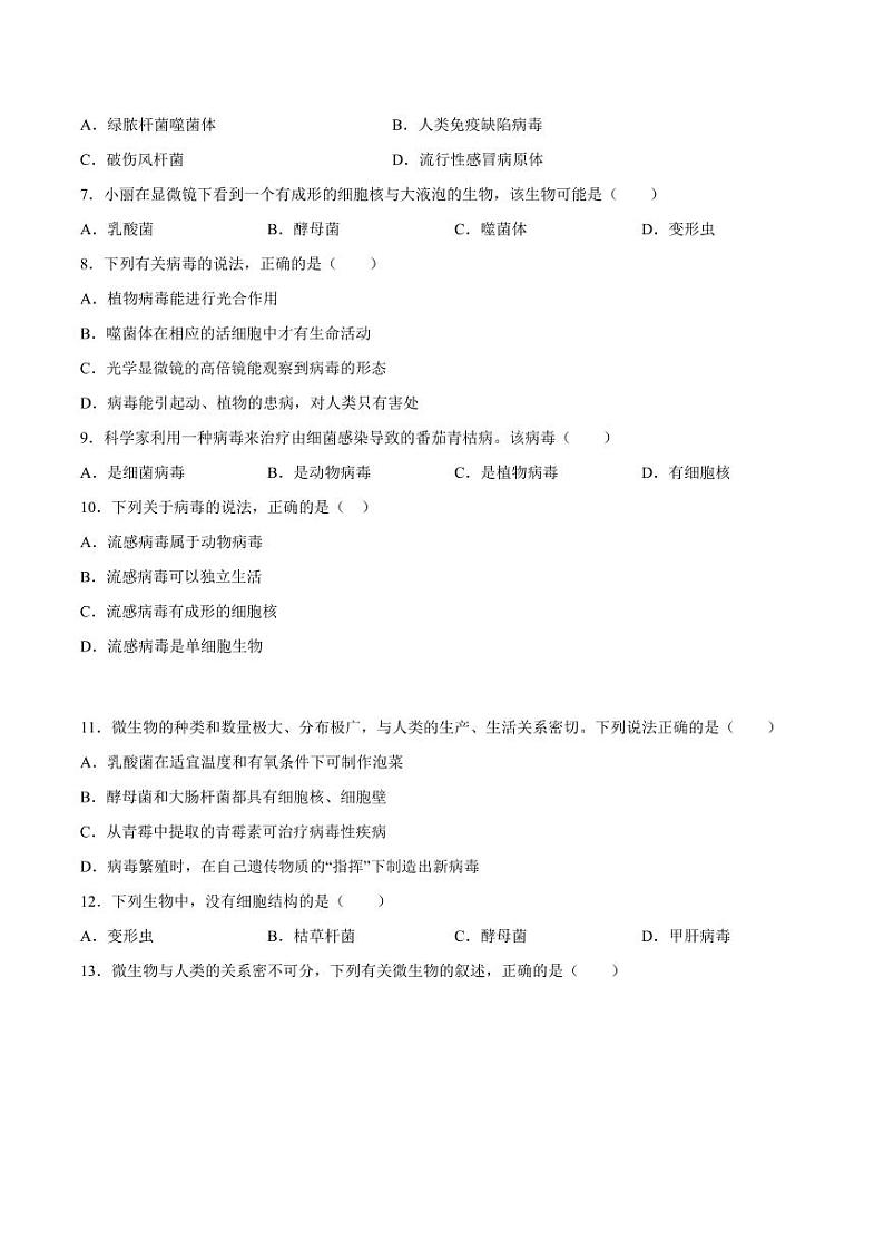 5.5 病毒(含答案) 2023-2004八年级生物上册同步讲义(人教版)02