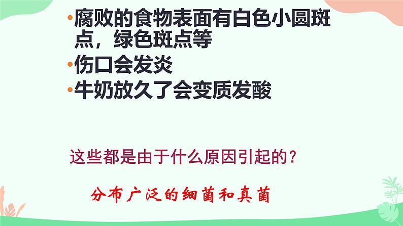 【核心素养】人教版初中生物八年级上册5.4.1《细菌和真菌的分布》课件+课时练习+教案(含教学反思)03