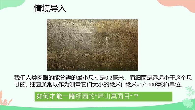 【核心素养】人教版初中生物八年级上册5.4.1《细菌和真菌的分布》课件+课时练习+教案(含教学反思)05