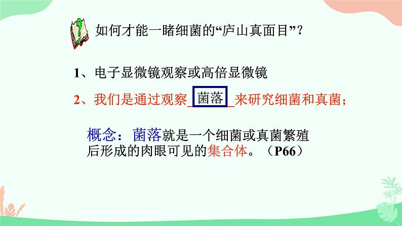 【核心素养】人教版初中生物八年级上册5.4.1《细菌和真菌的分布》课件+课时练习+教案(含教学反思)06