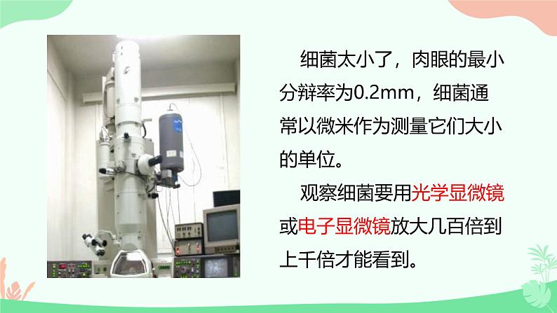 【核心素养】人教版初中生物八年级上册5.4.1《细菌和真菌的分布》课件+课时练习+教案(含教学反思)07