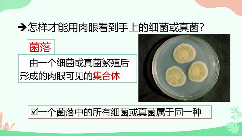【核心素养】人教版初中生物八年级上册5.4.1《细菌和真菌的分布》课件+课时练习+教案(含教学反思)08