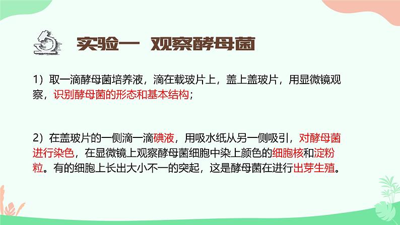 【核心素养】人教版初中生物八年级上册5.4.3《真菌》课件+课时练习+教案(含教学反思)07