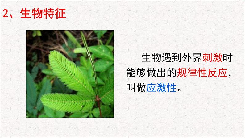 第1节 形形色色的生物 课件 北师大版(2014)生物学七年级上册06