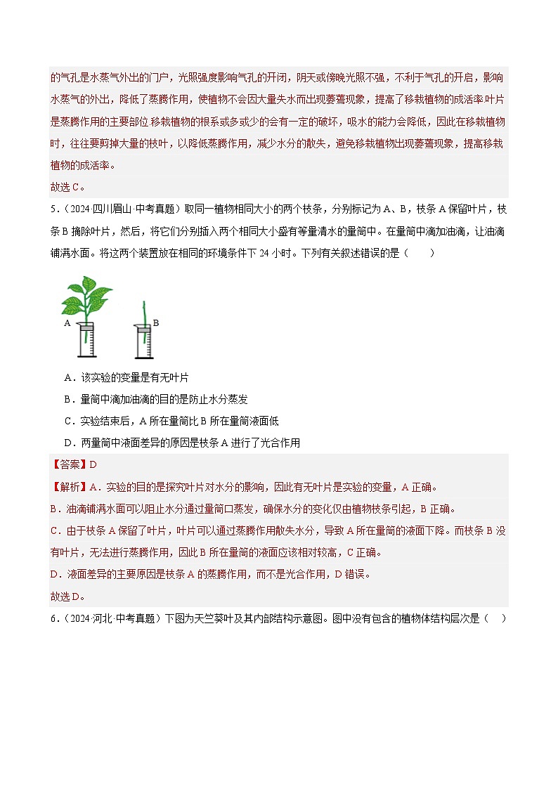 专题05 绿色植物的蒸腾作用、光合作用和呼吸作用(教师卷+学生卷)- 2024年中考生物真题分类汇编(全国通用)03