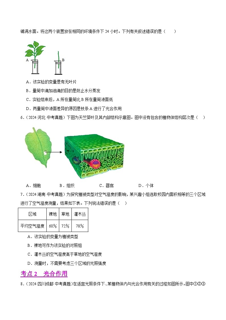 专题05 绿色植物的蒸腾作用、光合作用和呼吸作用(教师卷+学生卷)- 2024年中考生物真题分类汇编(全国通用)02