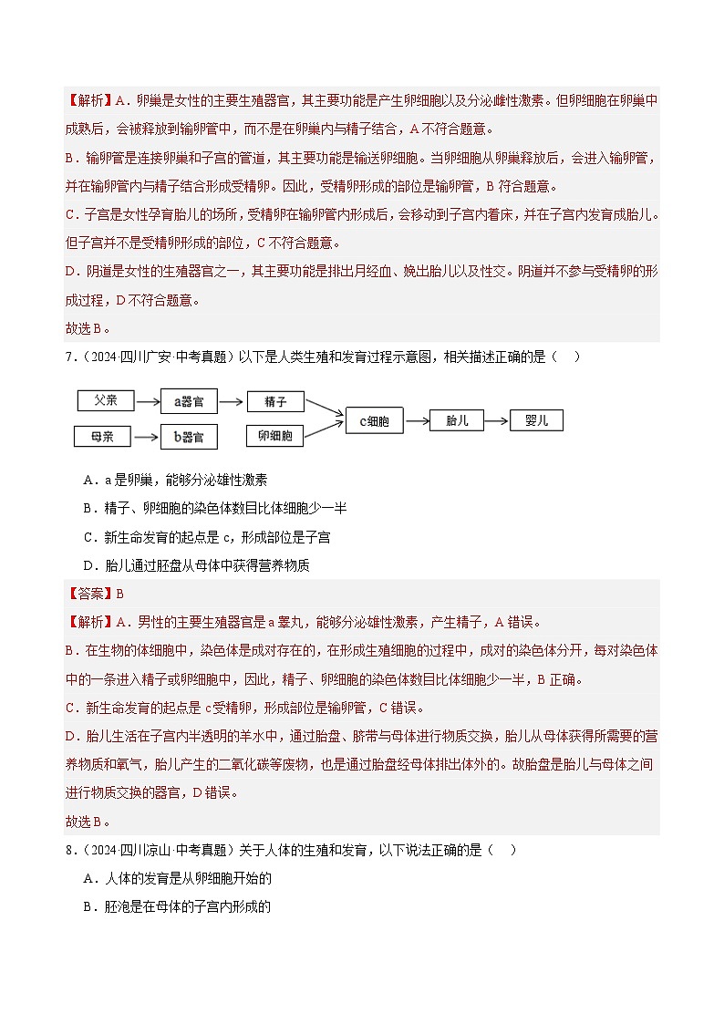 专题06 人的由来(教师卷+学生卷)- 2024年中考生物真题分类汇编(全国通用)03
