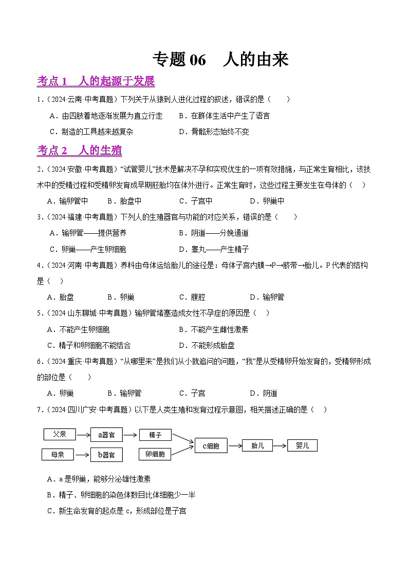 专题06 人的由来(教师卷+学生卷)- 2024年中考生物真题分类汇编(全国通用)01