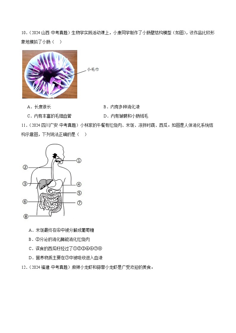 专题07 人体的营养(学生卷)- 2024年中考生物真题分类汇编(全国通用)第3页