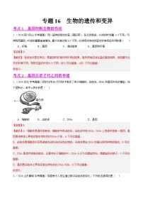 专题16 生物的遗传和变异(教师卷+学生卷)- 2024年中考生物真题分类汇编(全国通用)