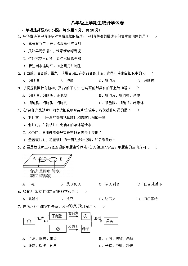 辽宁省鞍山市2024年八年级上学期生物开学试卷附答案01