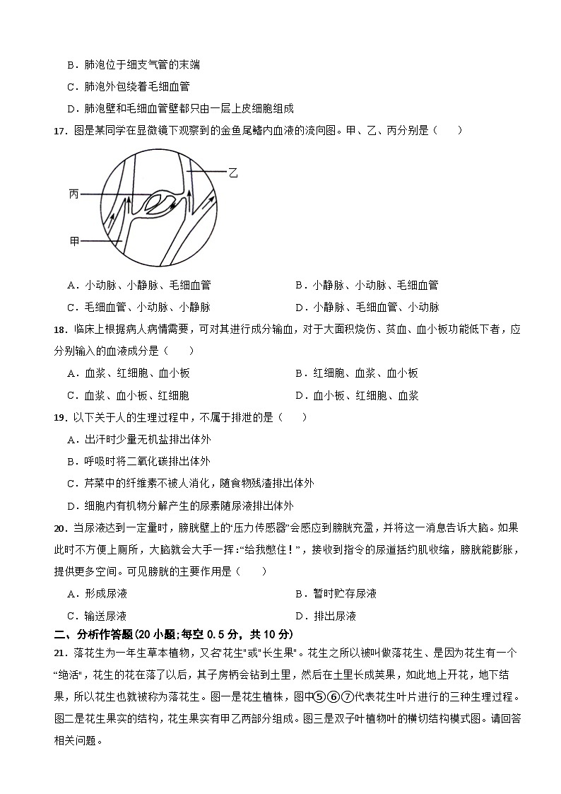 辽宁省鞍山市2024年八年级上学期生物开学试卷附答案03