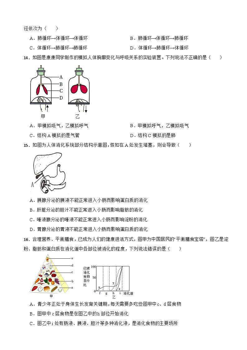四川省绵阳市2024年八年级上册生物开学试卷附答案第3页