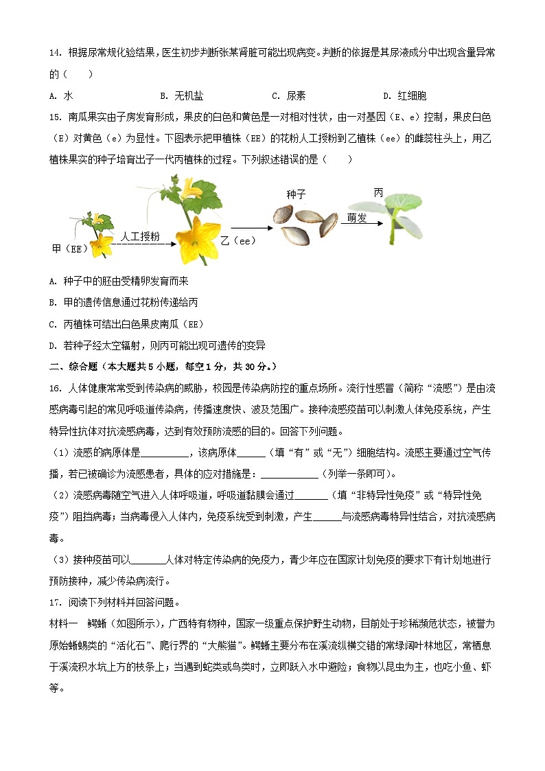 2024年广西钦州中考真题生物试题及答案03