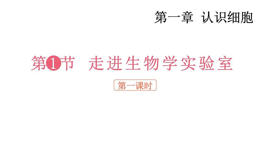 1.1 走進(jìn)生物學(xué)實(shí)驗(yàn)室 第1課時(shí) 課件-2024-2025學(xué)年蘇教版生物七年級上冊第1頁