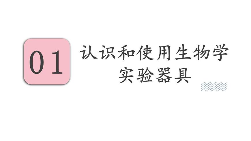 1.1 走進(jìn)生物學(xué)實(shí)驗(yàn)室 第1課時(shí) 課件-2024-2025學(xué)年蘇教版生物七年級上冊第3頁