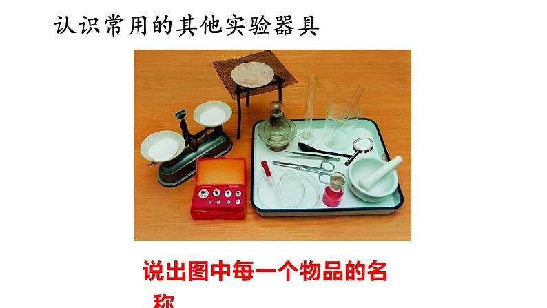 1.1 走进生物学实验室 第2课时 课件-2024-2025学年苏教版生物七年级上册04