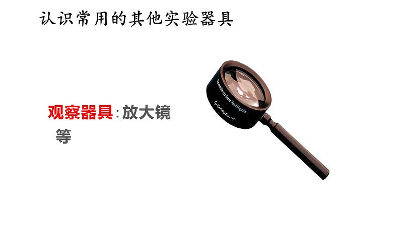 1.1 走进生物学实验室 第2课时 课件-2024-2025学年苏教版生物七年级上册05
