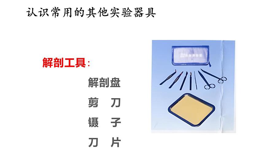 1.1 走進(jìn)生物學(xué)實(shí)驗(yàn)室 第2課時(shí) 課件-2024-2025學(xué)年蘇教版生物七年級(jí)上冊(cè)第6頁