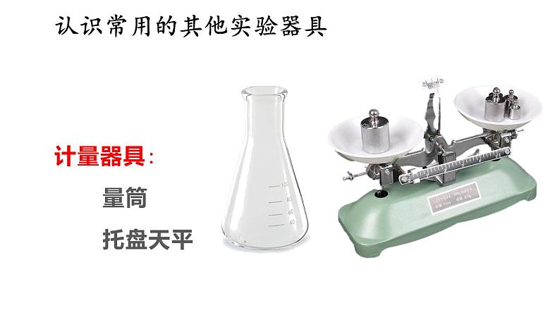 1.1 走进生物学实验室 第2课时 课件-2024-2025学年苏教版生物七年级上册07