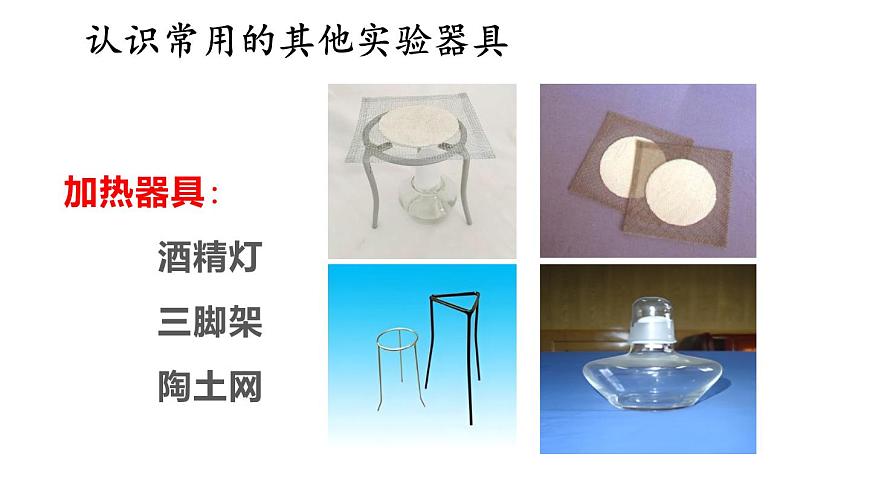 1.1 走進(jìn)生物學(xué)實(shí)驗(yàn)室 第2課時(shí) 課件-2024-2025學(xué)年蘇教版生物七年級(jí)上冊(cè)第8頁