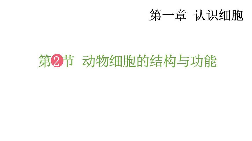1.2 動物細(xì)胞的結(jié)構(gòu)與功能 課件-2024-2025學(xué)年蘇教版生物七年級上冊第1頁