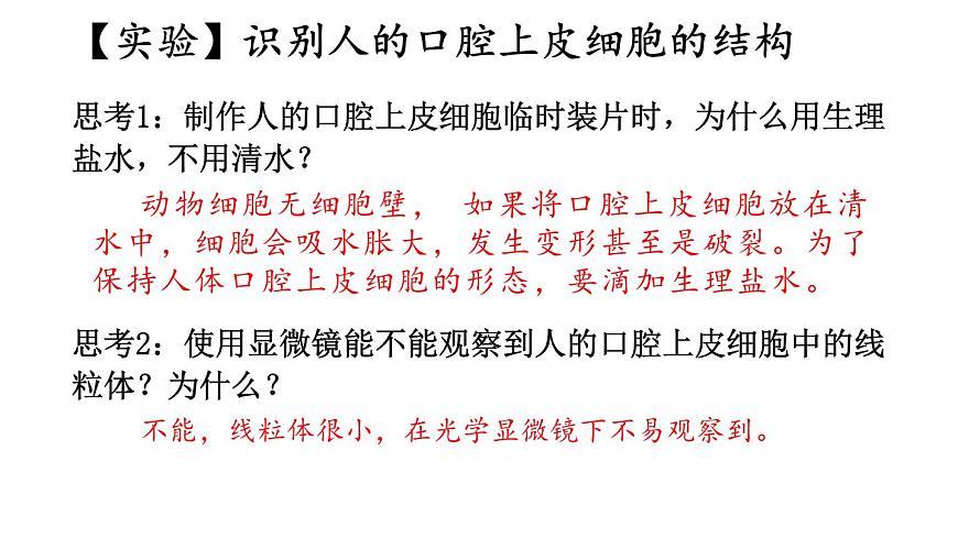 1.2 動物細(xì)胞的結(jié)構(gòu)與功能 課件-2024-2025學(xué)年蘇教版生物七年級上冊第8頁