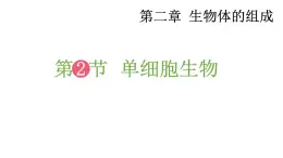 2.2 单细胞生物 课件-2024-2025学年苏教版生物七年级上册