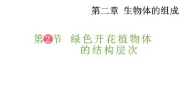 2.3 多细胞生物体的组成 课件-2024-2025学年苏教版生物七年级上册