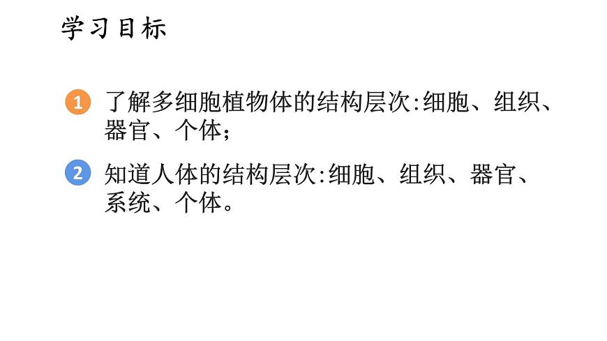 2.3 多細(xì)胞生物體的組成 課件-2024-2025學(xué)年蘇教版生物七年級(jí)上冊(cè)第2頁(yè)