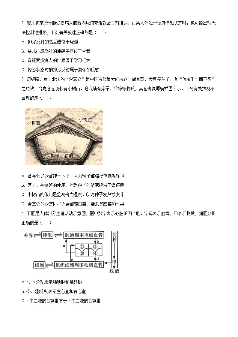 2024年四川省泸州市中考真题生物真题02