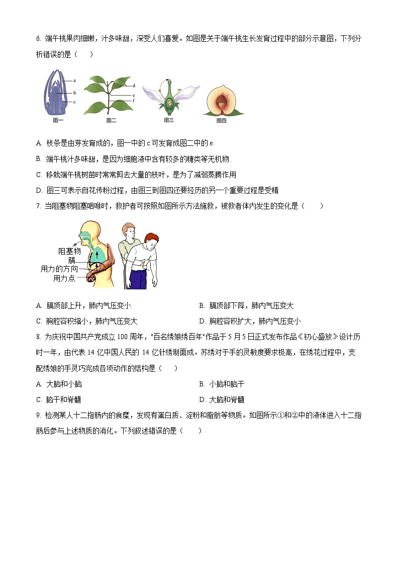 河南省新鄉(xiāng)市原陽(yáng)縣2023-2024學(xué)年八年級(jí)下學(xué)期期末生物學(xué)試題（原卷版）第2頁(yè)
