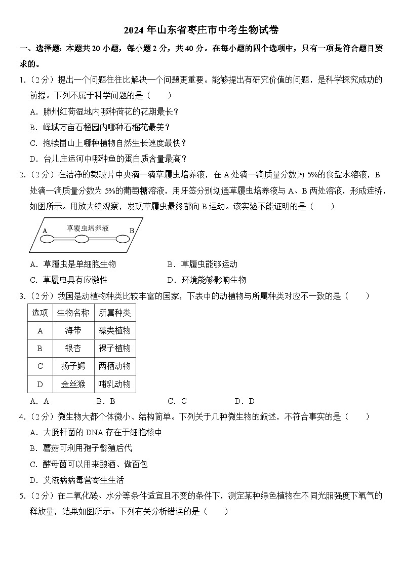 2024年山东省枣庄市中考生物试卷附答案01