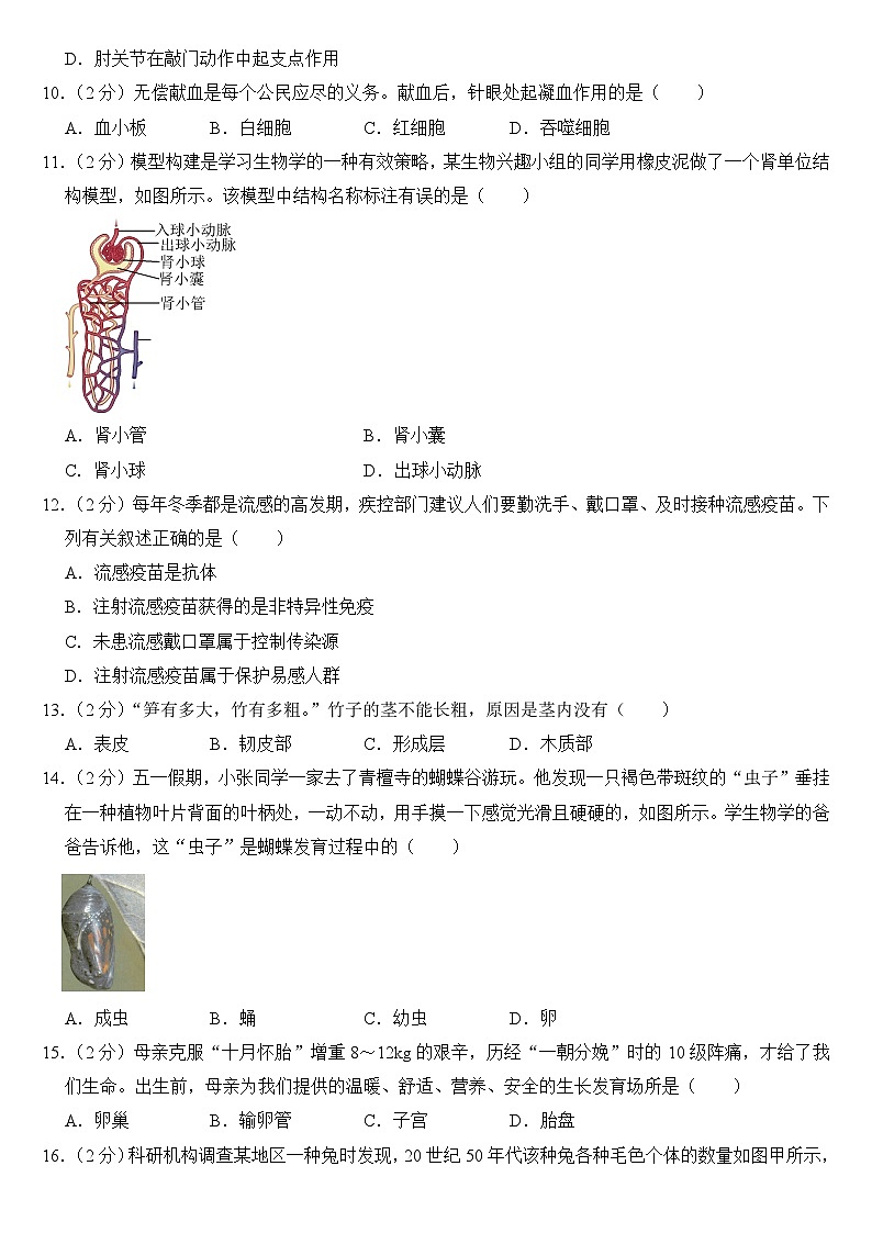 2024年山东省枣庄市中考生物试卷附答案03