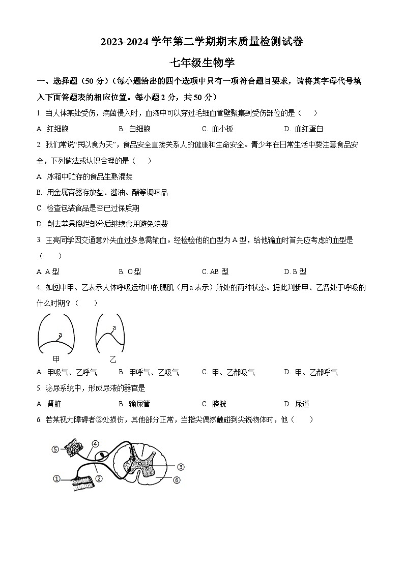 河北省秦皇岛市卢龙县2023-2024学年七年级下学期期末生物试题(原卷版)01