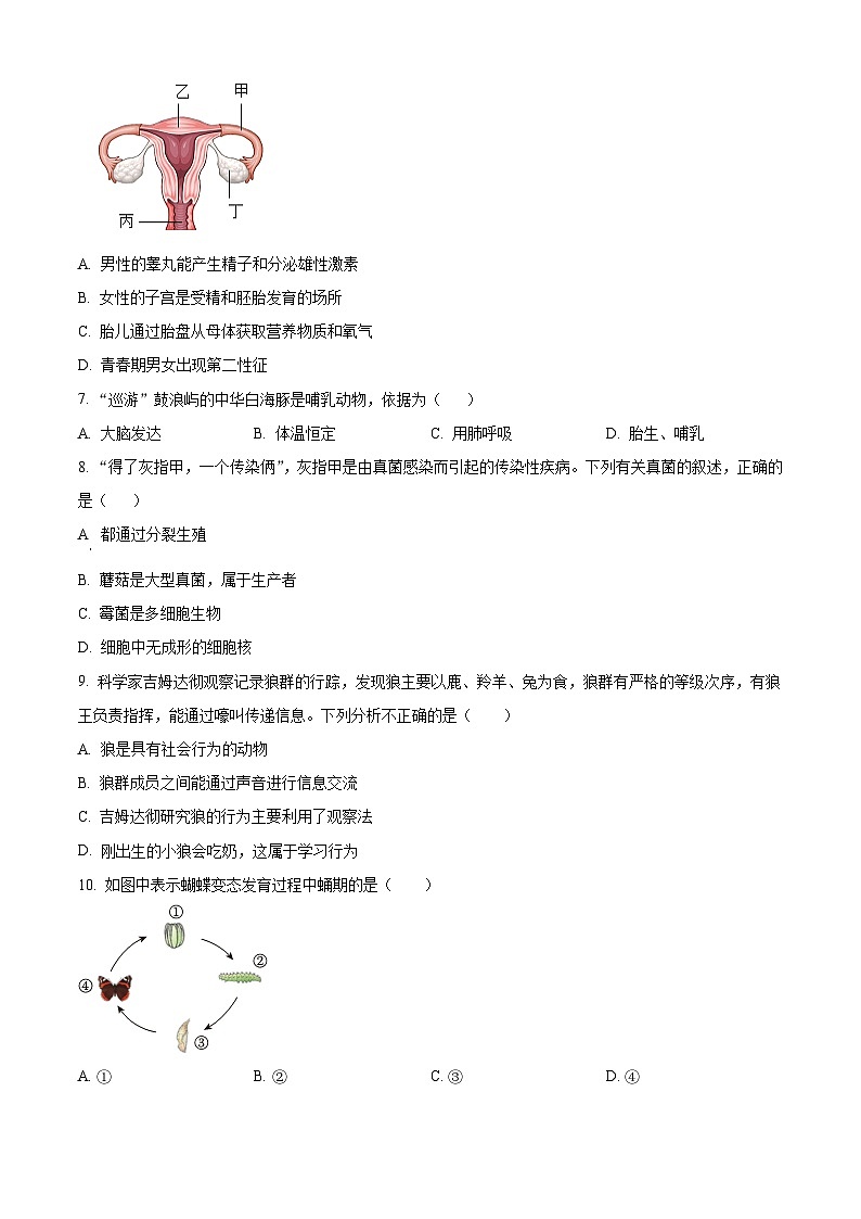 2024年河南省商丘市夏邑县县城多校中考三模生物试题(原卷版)第2页