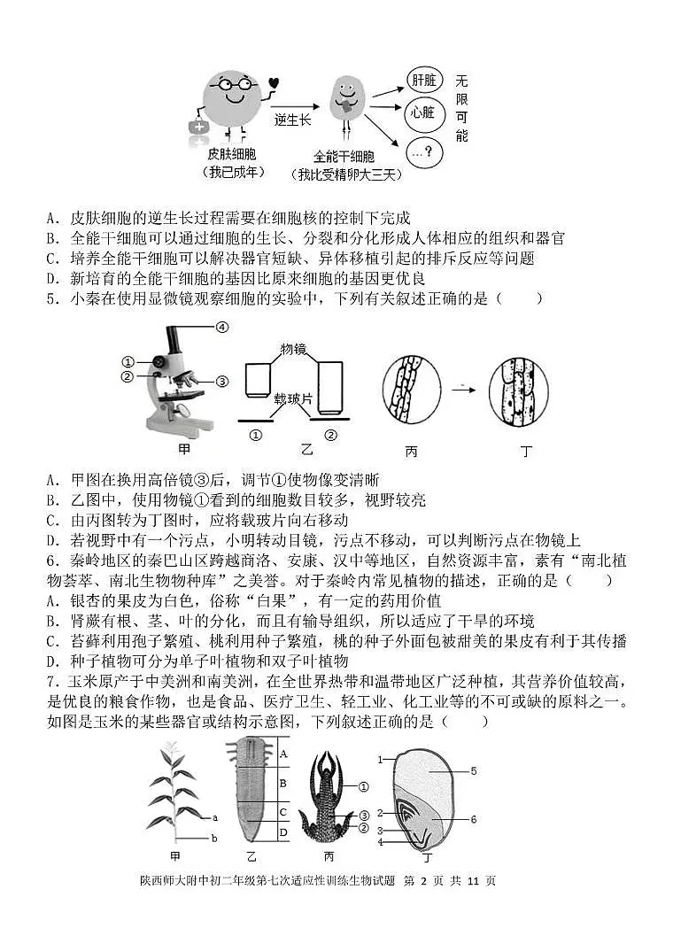 陕西师大附中 2023-2024 学年度初二年第七次适应性训练生物试题 陕西师大附中 2023-2024 学年度初二年第七次适应性训练生物试题第2页