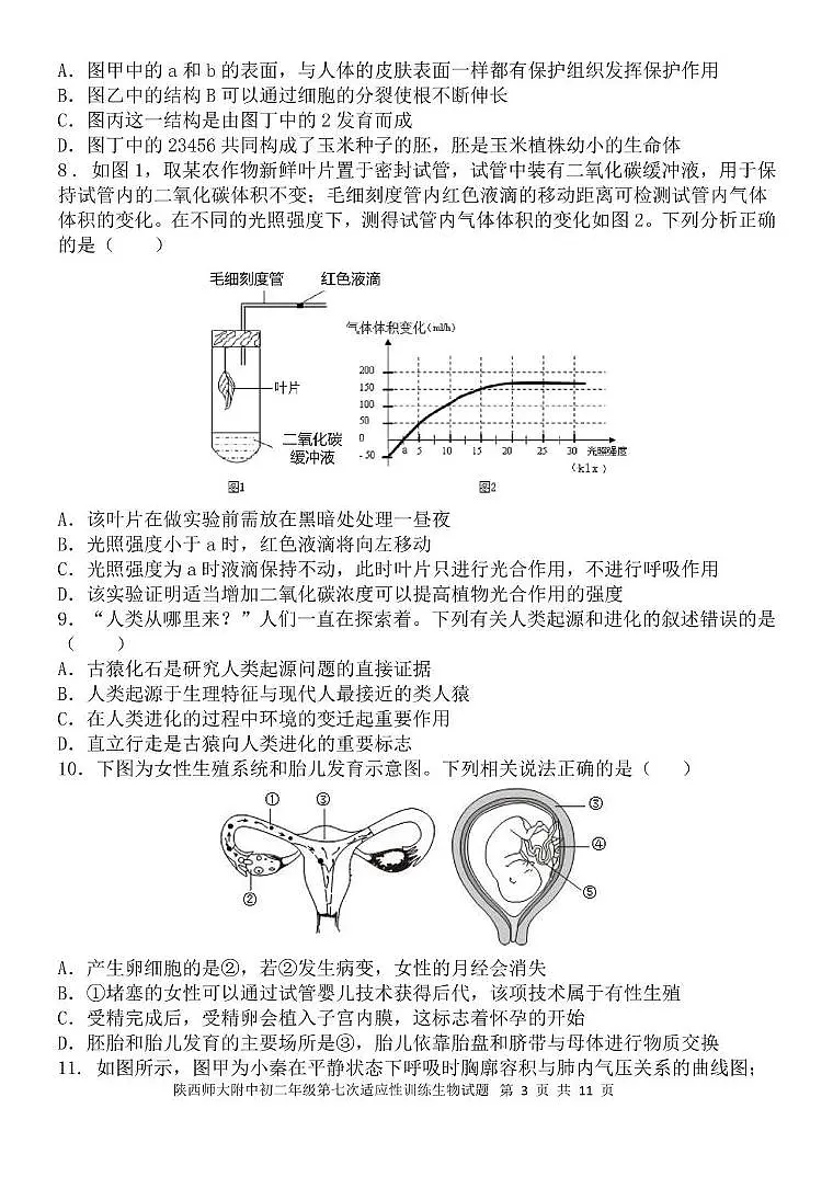 陕西师大附中 2023-2024 学年度初二年第七次适应性训练生物试题 陕西师大附中 2023-2024 学年度初二年第七次适应性训练生物试题第3页