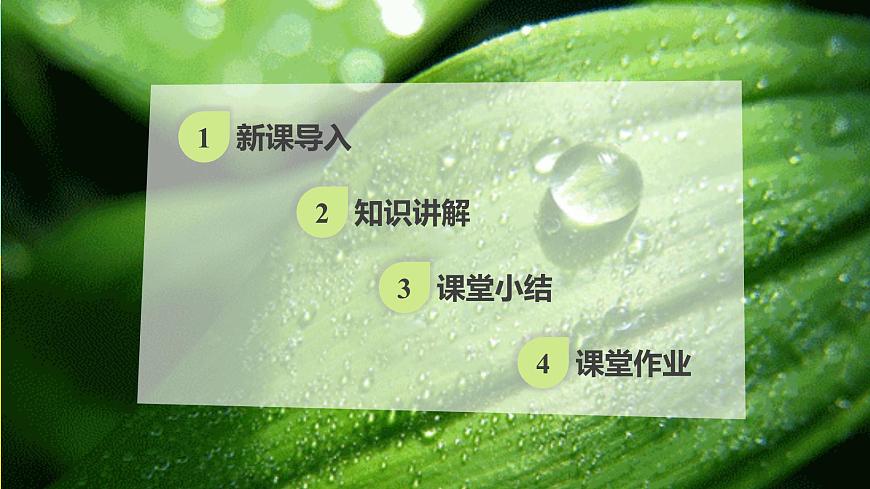 1.1 《形形色色的生物》  課件第2頁(yè)