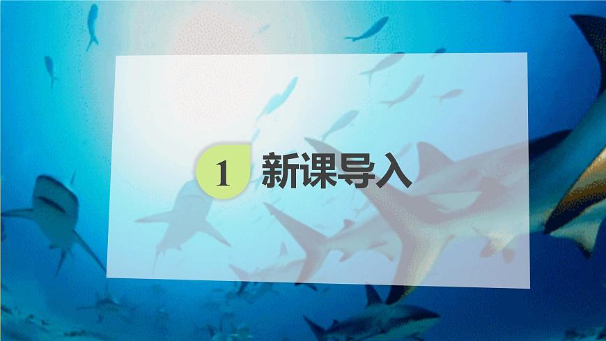 1.1 《形形色色的生物》  課件第3頁(yè)