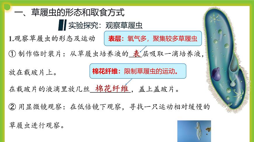2.2《細(xì)胞是生命活動(dòng)的單位》課件第7頁(yè)
