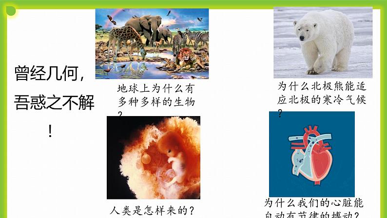 1.2《生物学是探索生命的科学》 课件04