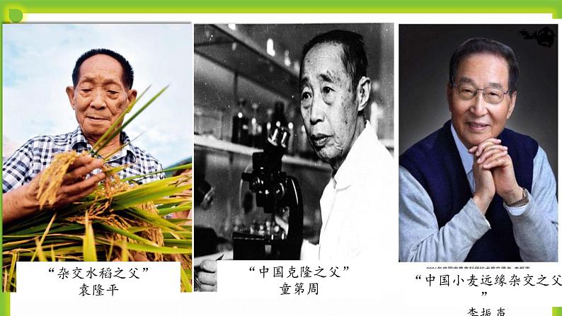 1.2《生物学是探索生命的科学》 课件06