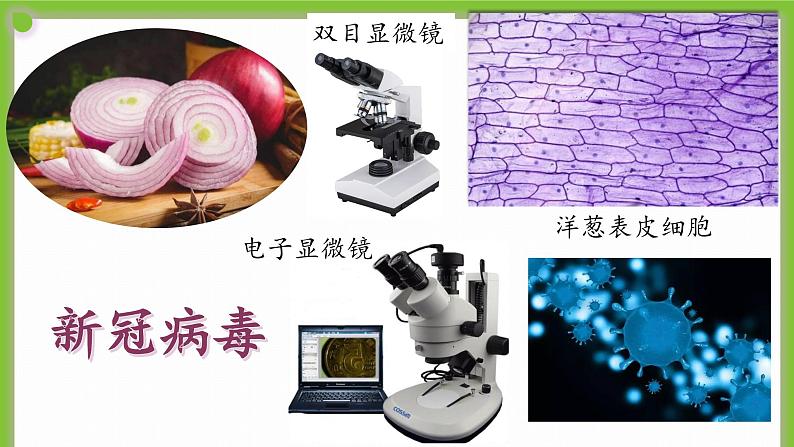 2.1.1 《显微镜的使用》课件第5页