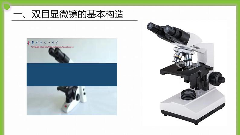 2.1.1 《显微镜的使用》课件第7页